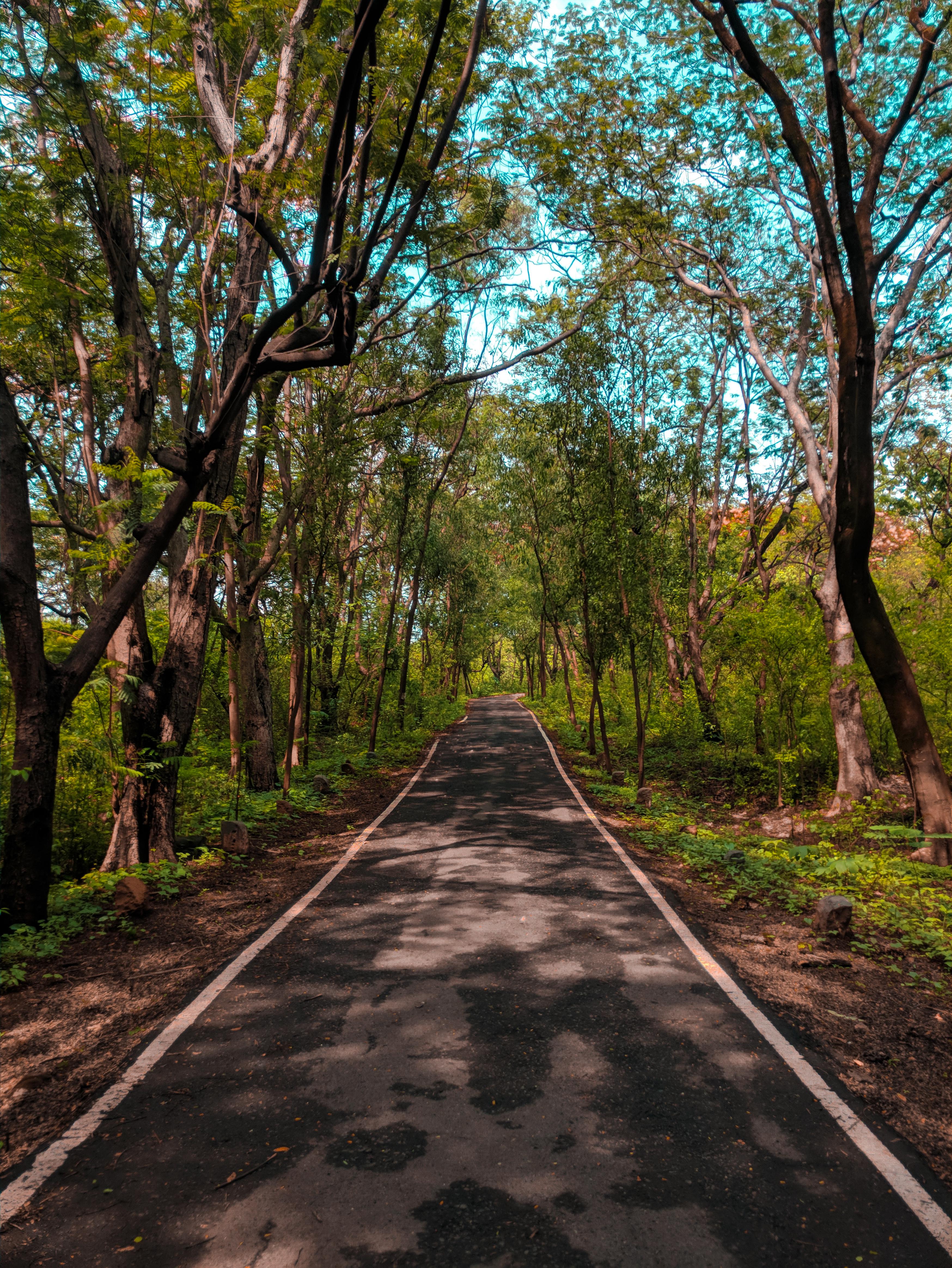 Maharashtra (Mumbai)